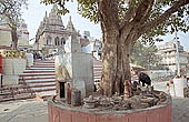 Varanasi - Assi Ghat 